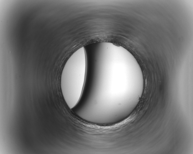 X0000088730048200705311124