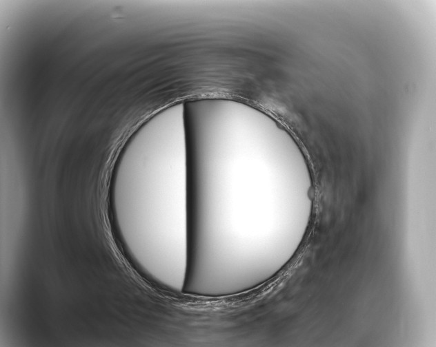 X0000088730049200705311123
