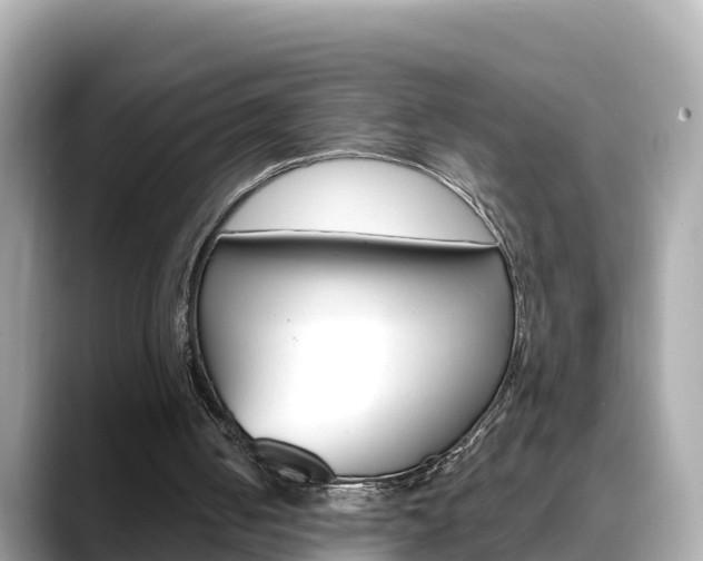 X0000088730050200705311123
