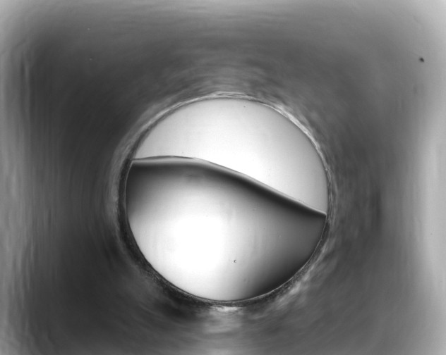 X0000088730055200705311123