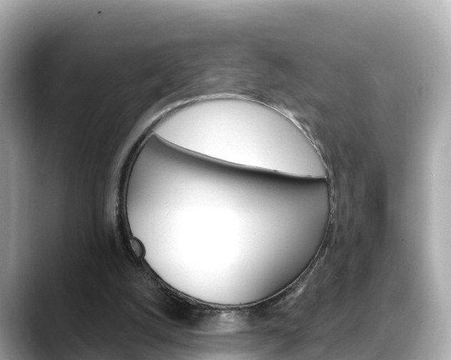 X0000088730056200705311123