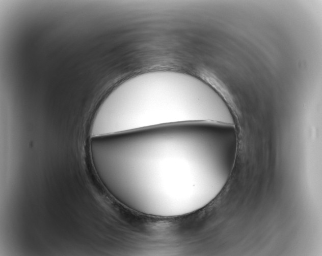 X0000088730058200705311123