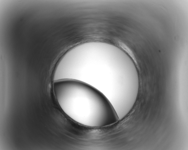 X0000088730059200705311123