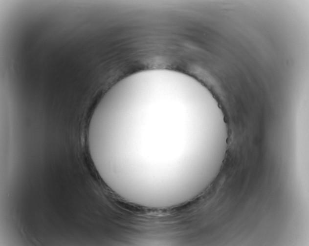 X0000088730065200705311123