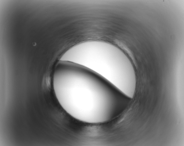X0000088730067200705311123