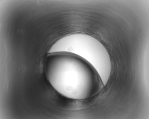 X0000088730080200705311123