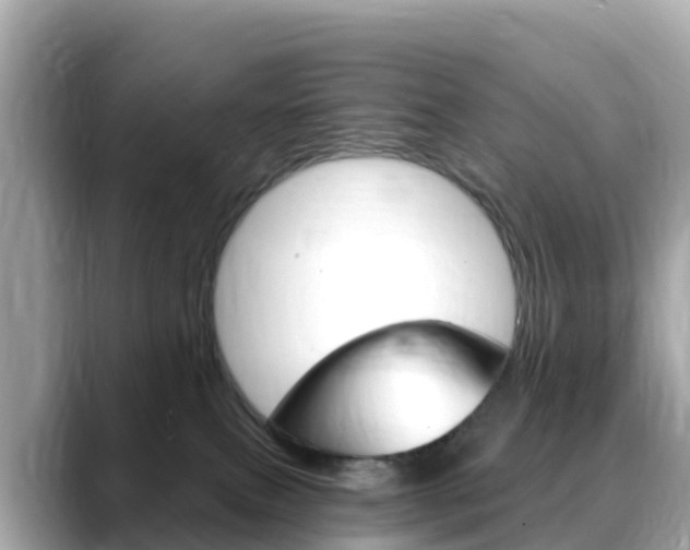X0000088730087200705311123