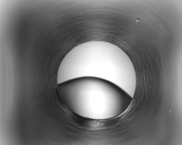 X0000088730094200705311123