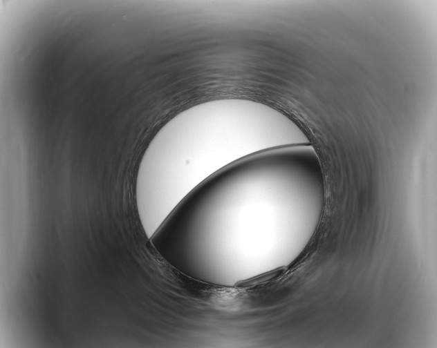 X0000088730096200705311124