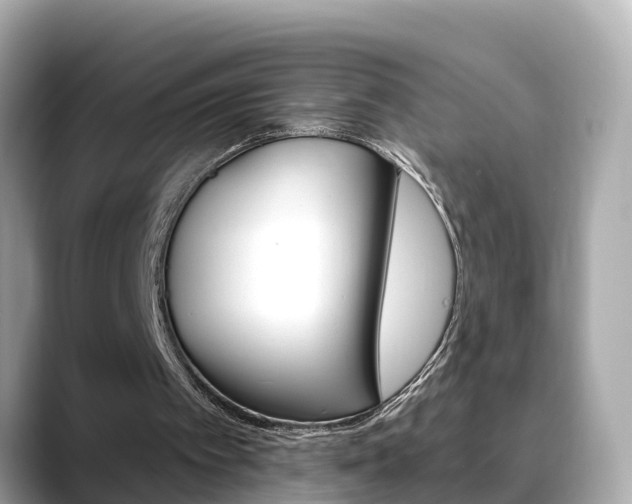 X0000088730097200705311123