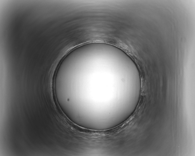X0000088730099200705311123