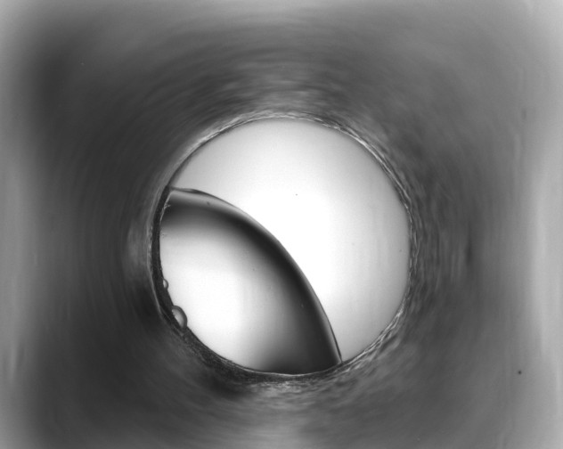 X0000088730100200705311123