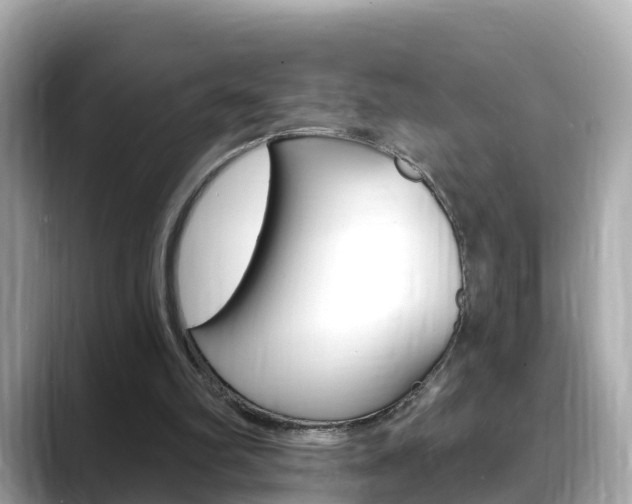 X0000088730102200705311123