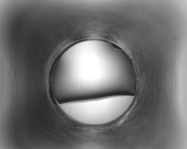 X0000088730103200705311123