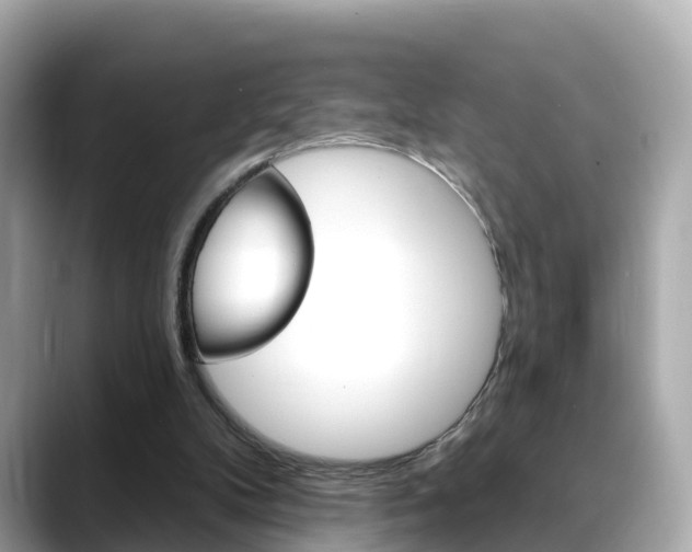 X0000088730104200705311123