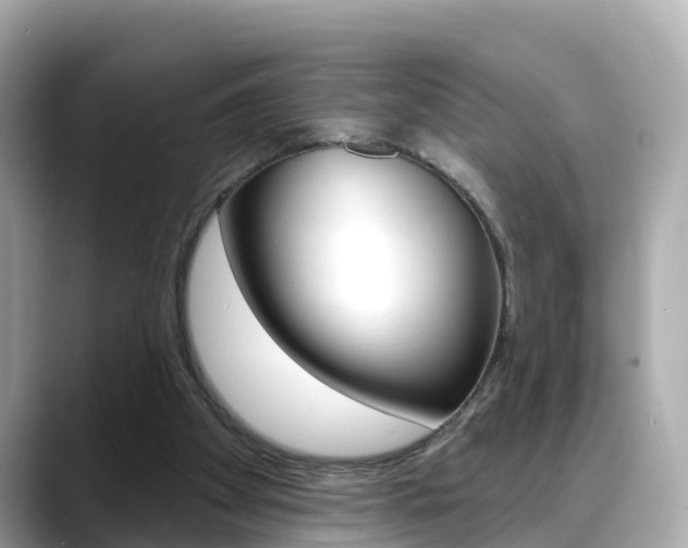 X0000088730105200705311123