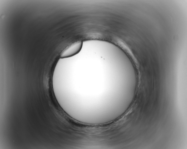 X0000088730106200705311123