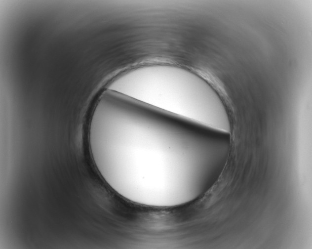 X0000088730108200705311123