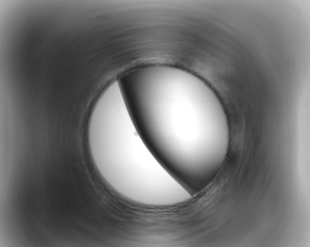 X0000088730111200705311123