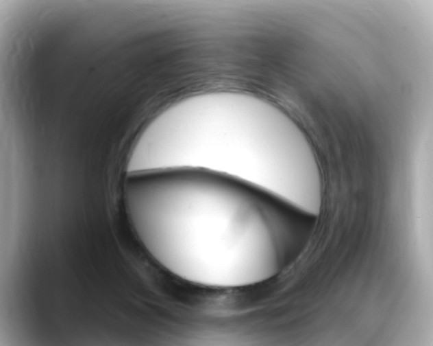 X0000088730116200705311123