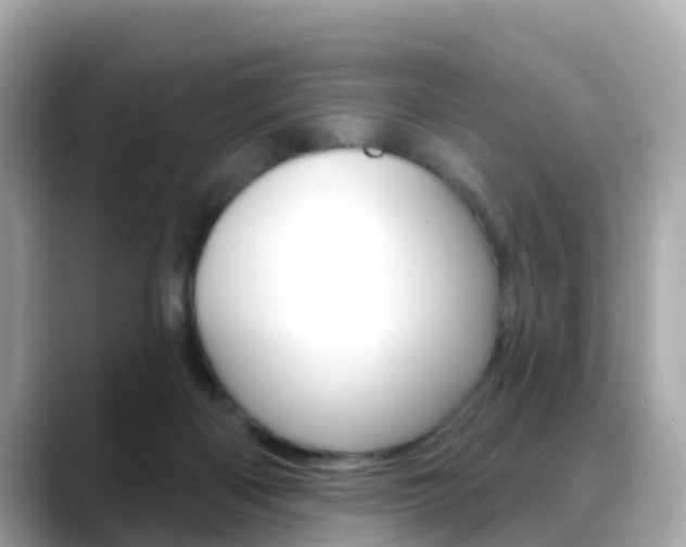 X0000088730122200705311123