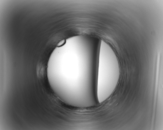 X0000088730123200705311123