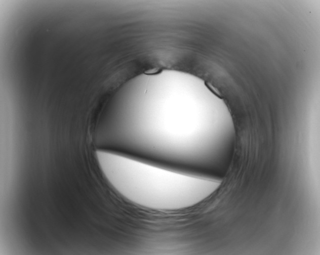 X0000088730129200705311123