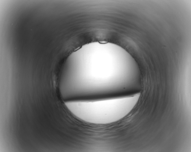 X0000088730135200705311123