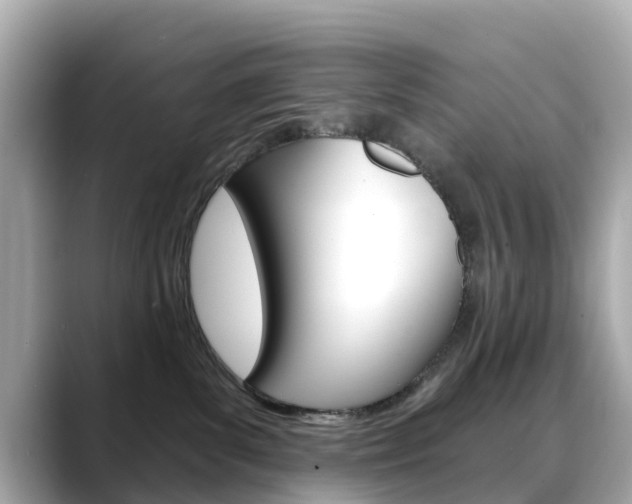 X0000088730139200705311122