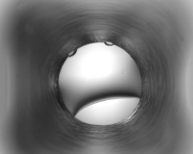 X0000088730140200705311122