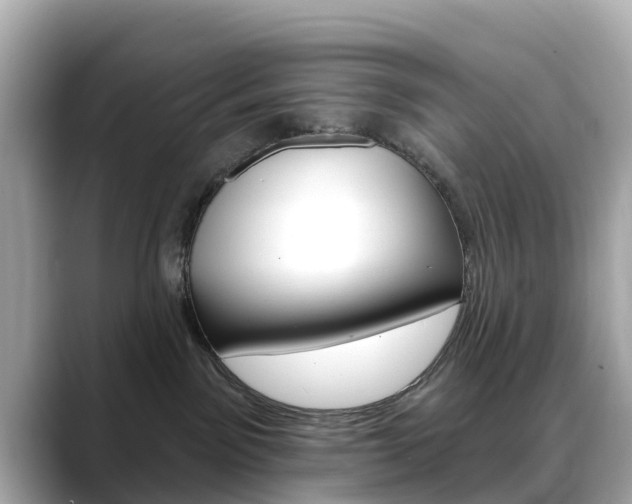 X0000088730141200705311122