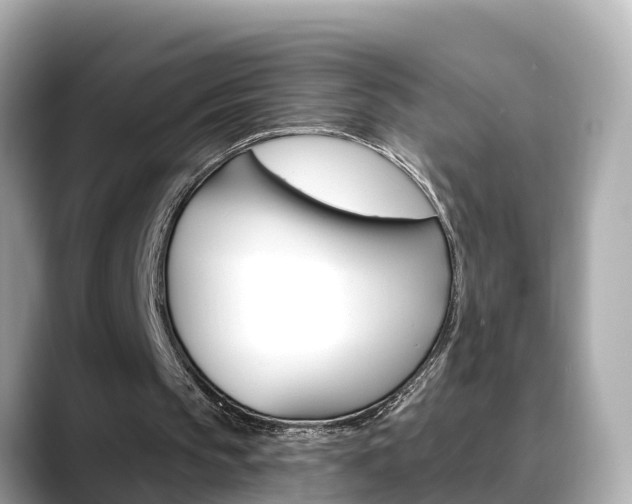 X0000088730145200705311122