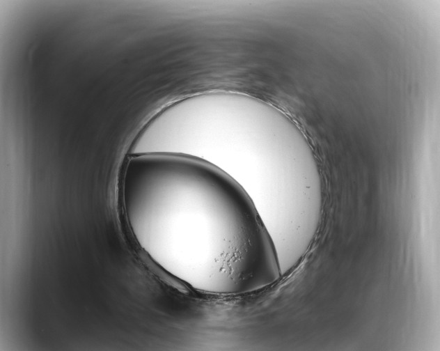 X0000088730148200705311122