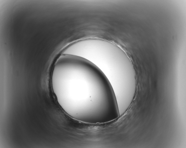 X0000088730152200705311122