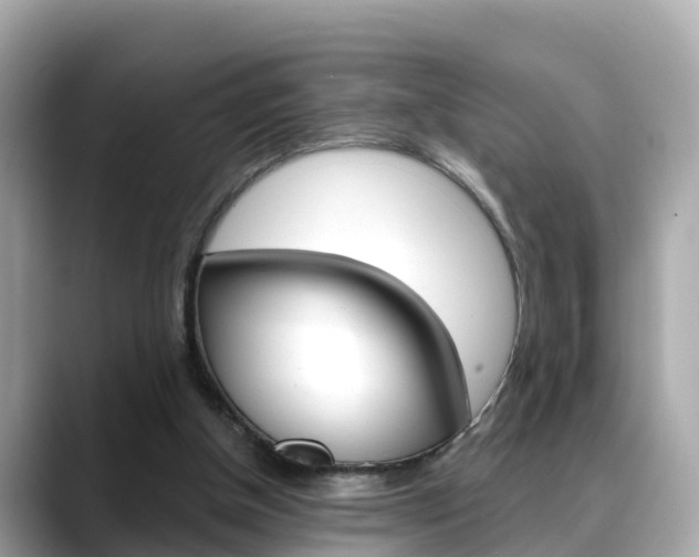 X0000088730154200705311122