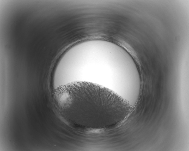 X0000088730155200705311122
