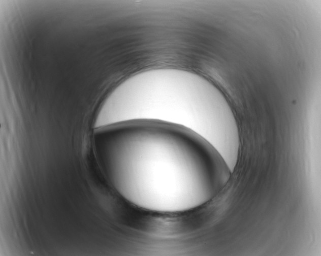 X0000088730164200705311122
