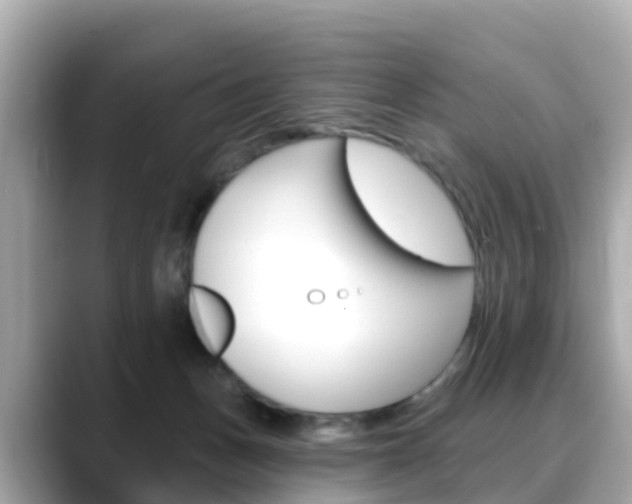 X0000088730175200705311122