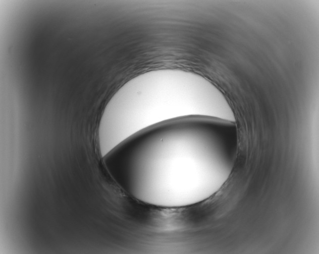X0000088730184200705311122