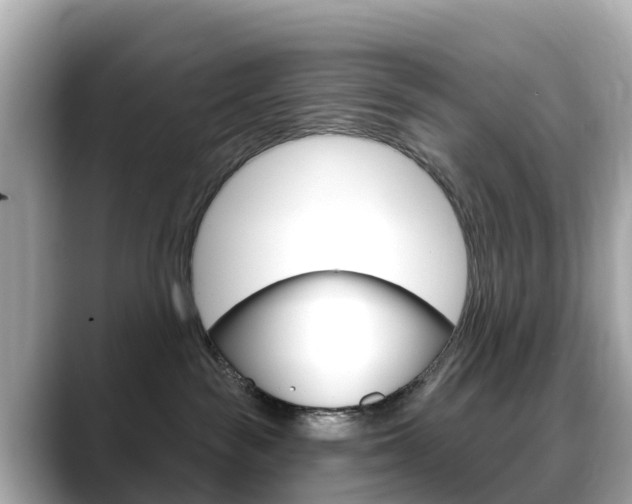 X0000088730189200705311122
