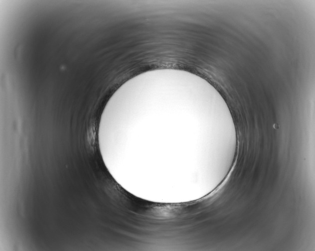 X0000088730190200705311122