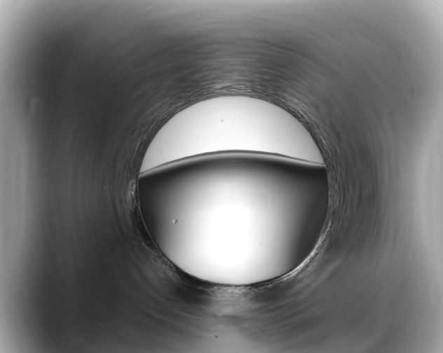 X0000088730192200705311122
