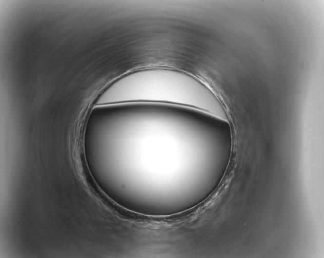 X0000088730193200705311122