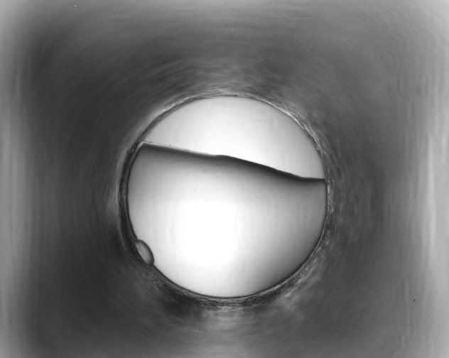 X0000088730196200705311122