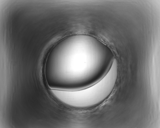 X0000088730197200705311122