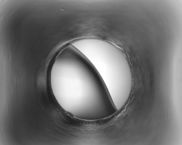 X0000088730200200705311122