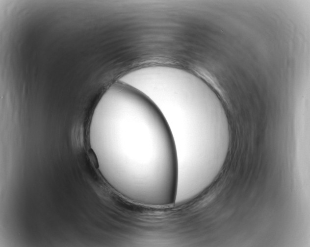 X0000088730205200705311122
