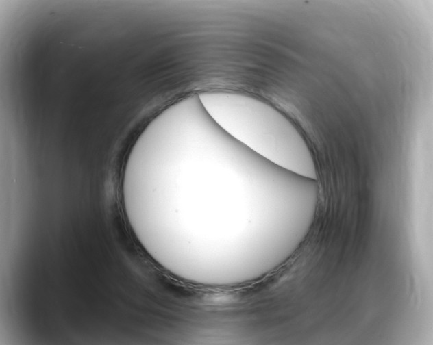 X0000088730208200705311122