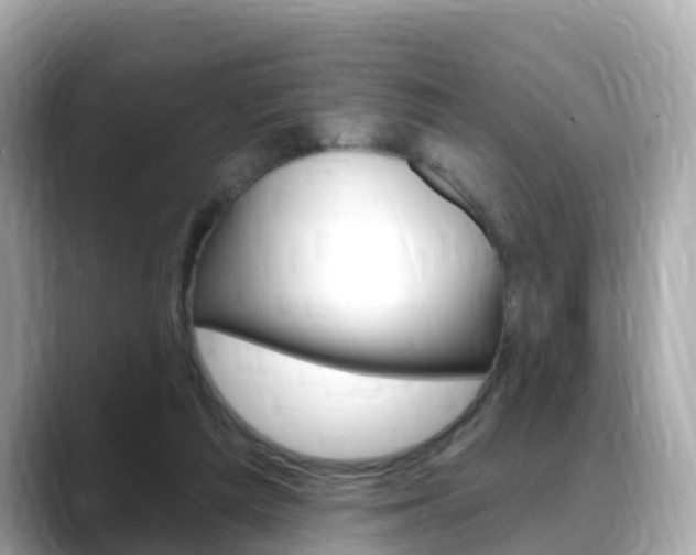 X0000088730209200705311122