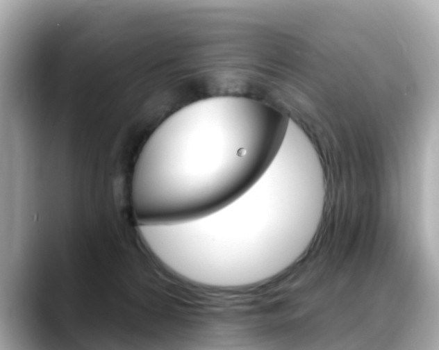 X0000088730224200705311121
